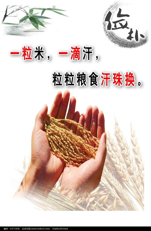 留学生申请枫叶卡需要哪些手续